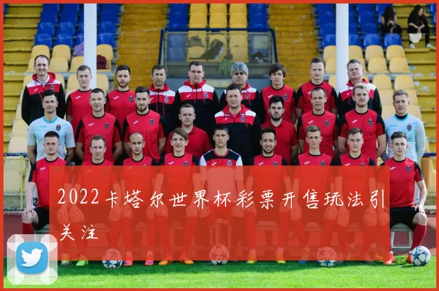 2022卡塔尔世界杯彩票开售玩法引关注